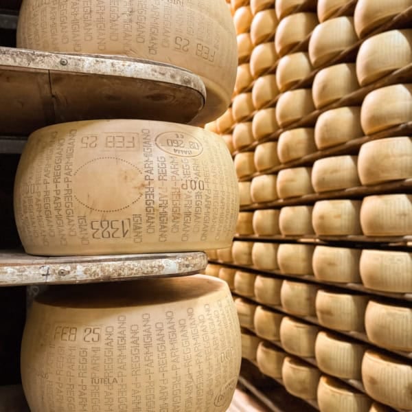 wheels of Parmigiano Reggiano aging on wooden shelves